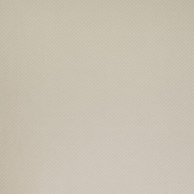 Il Asami swatch